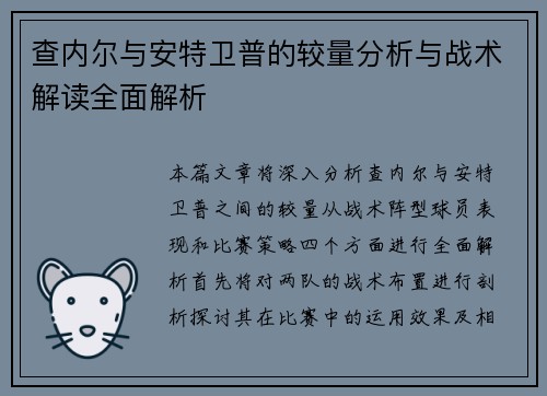 查内尔与安特卫普的较量分析与战术解读全面解析