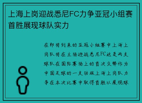 上海上岗迎战悉尼FC力争亚冠小组赛首胜展现球队实力