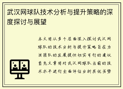 武汉网球队技术分析与提升策略的深度探讨与展望