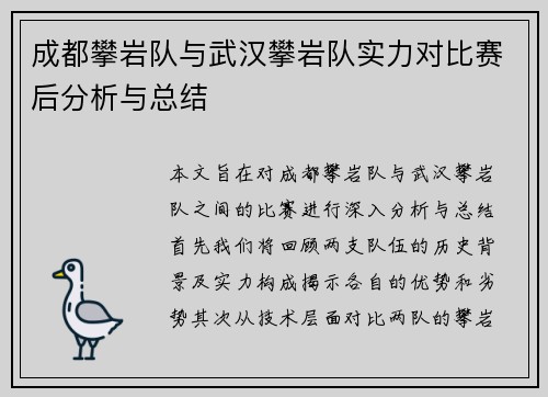 成都攀岩队与武汉攀岩队实力对比赛后分析与总结