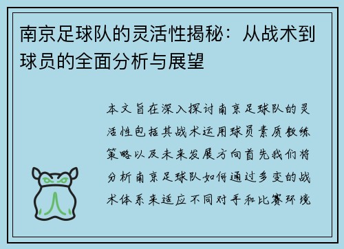 南京足球队的灵活性揭秘：从战术到球员的全面分析与展望